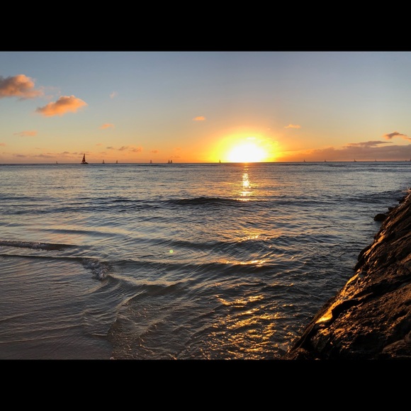 LAST DAY TO PURCHASE ANYTHING! - Picture 1 of 1